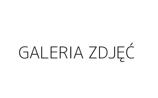 GALERIA ZDJĘĆ